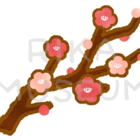 Japanese apricot tree 鮮やかな梅の花のイラスト
