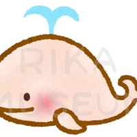 可愛いクジラのイラスト