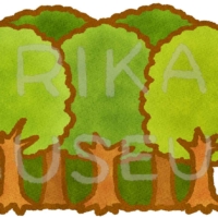 シンプルな森のイラスト