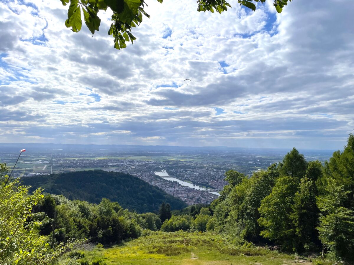 【ケーニヒシュトゥール】山の上からハイデルベルク周辺を一望 – ドイツ
