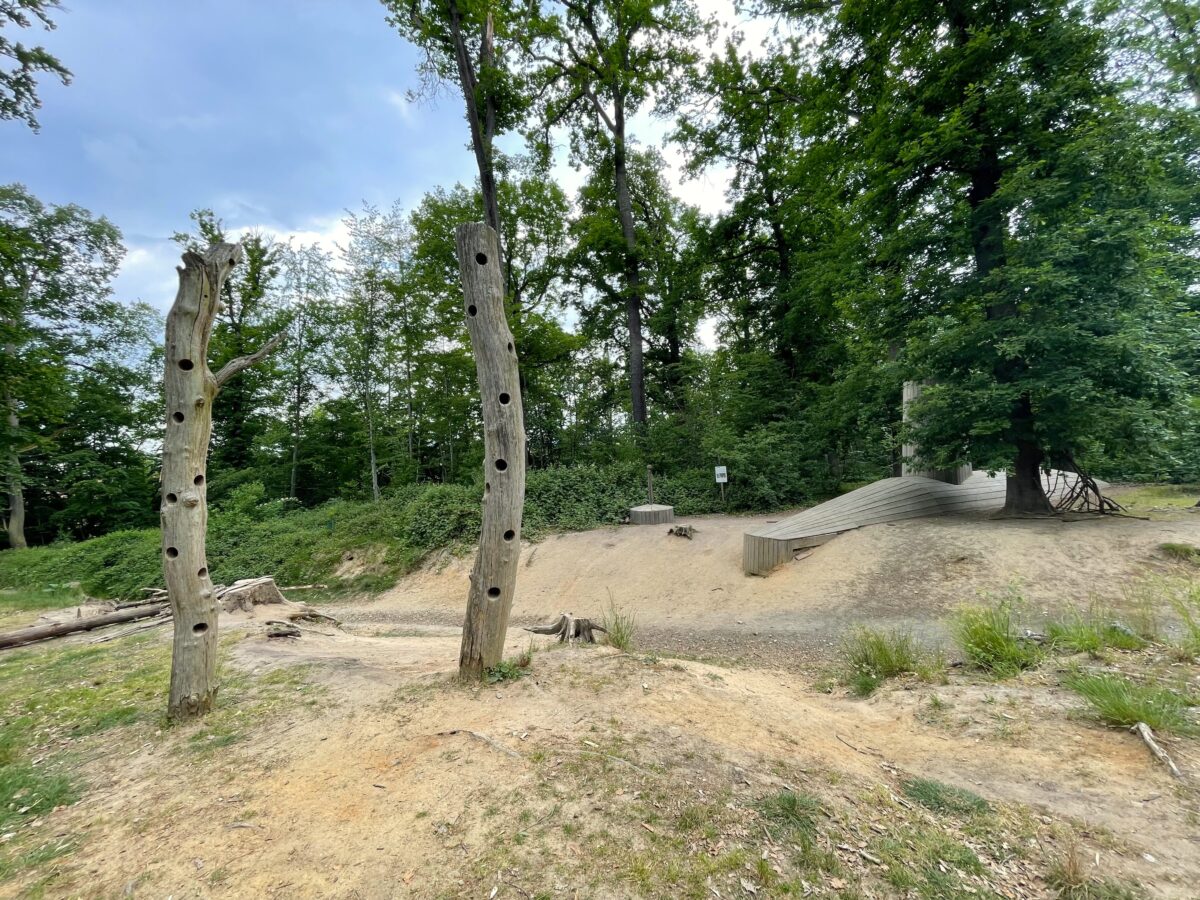 森林が丸ごとアートの世界!? – ドイツ・ダルムシュタット