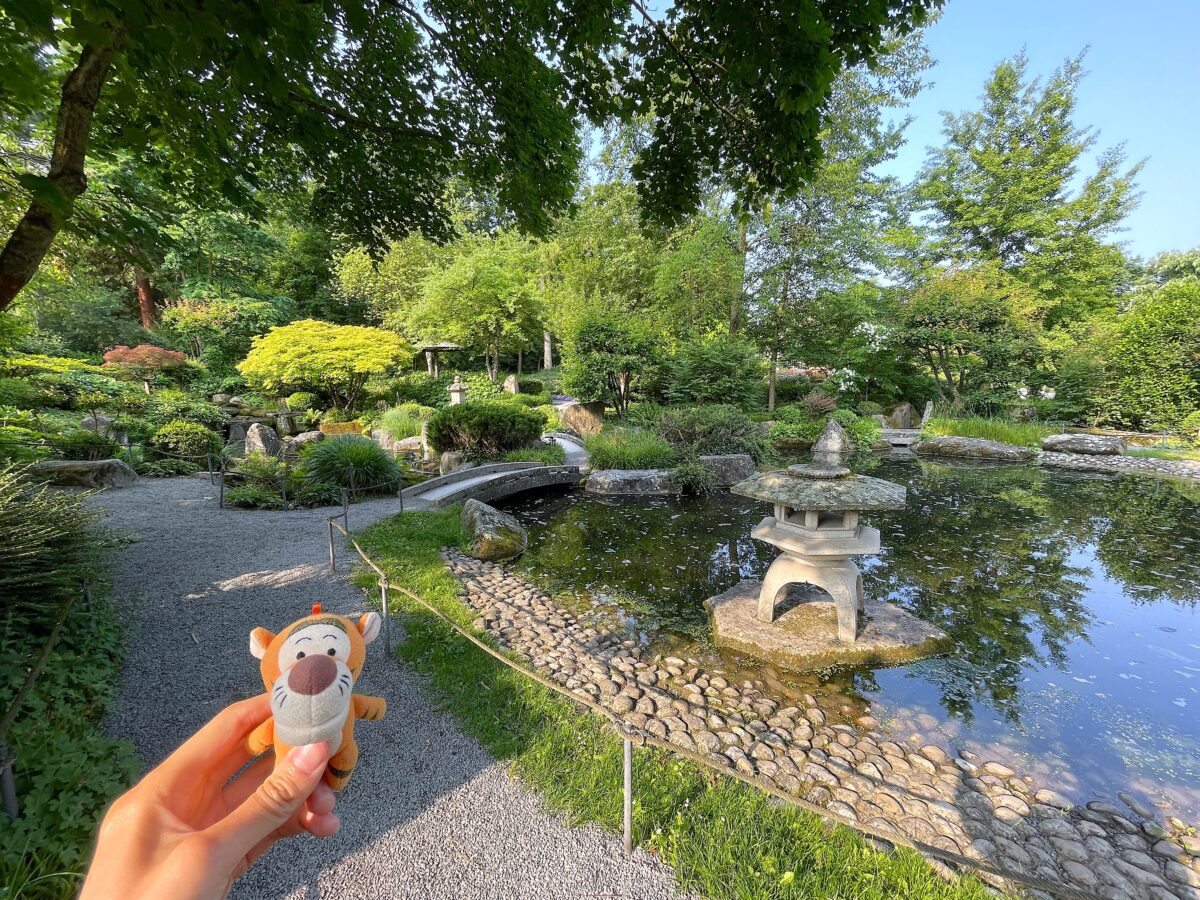 ヴュルツブルクの穴場スポット【マリエンベルク日本庭園】- ドイツ