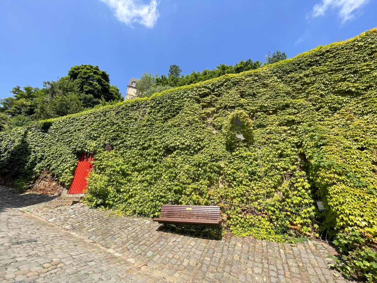 【白雪姫の鏡は本当にあった】グリム童話のモチーフを探す街歩き – マールブルク