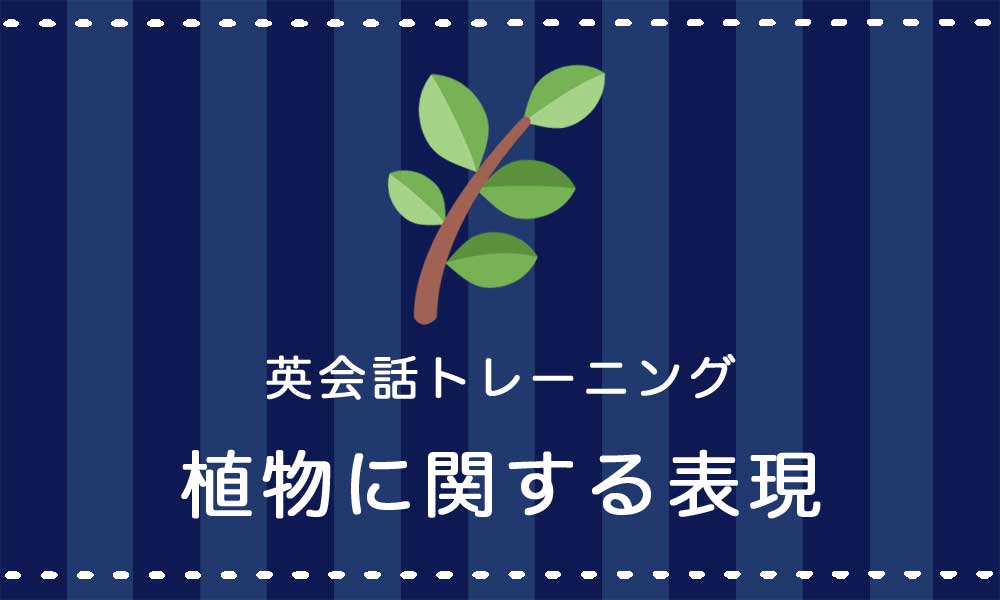 【英語】植物・園芸に関する表現