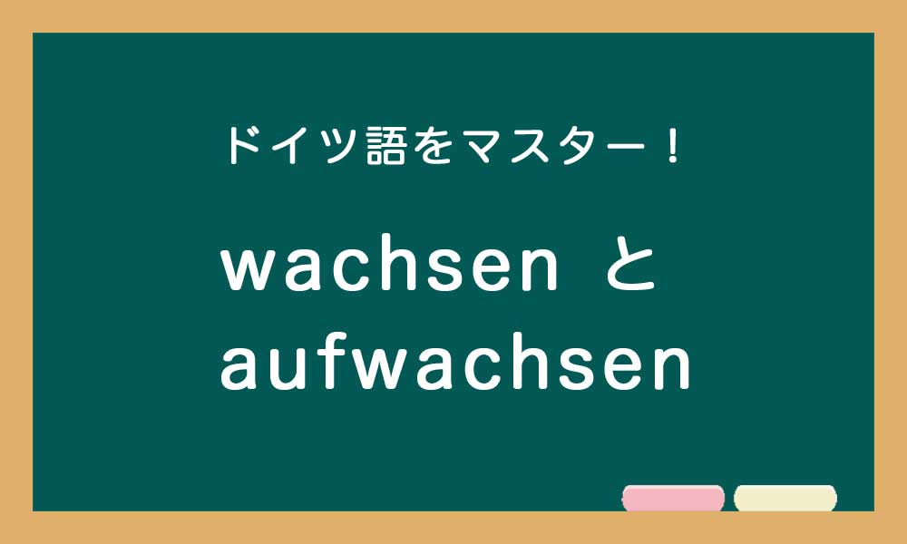 【wachsen と aufwachsen の違い】ドイツ語トレーニング
